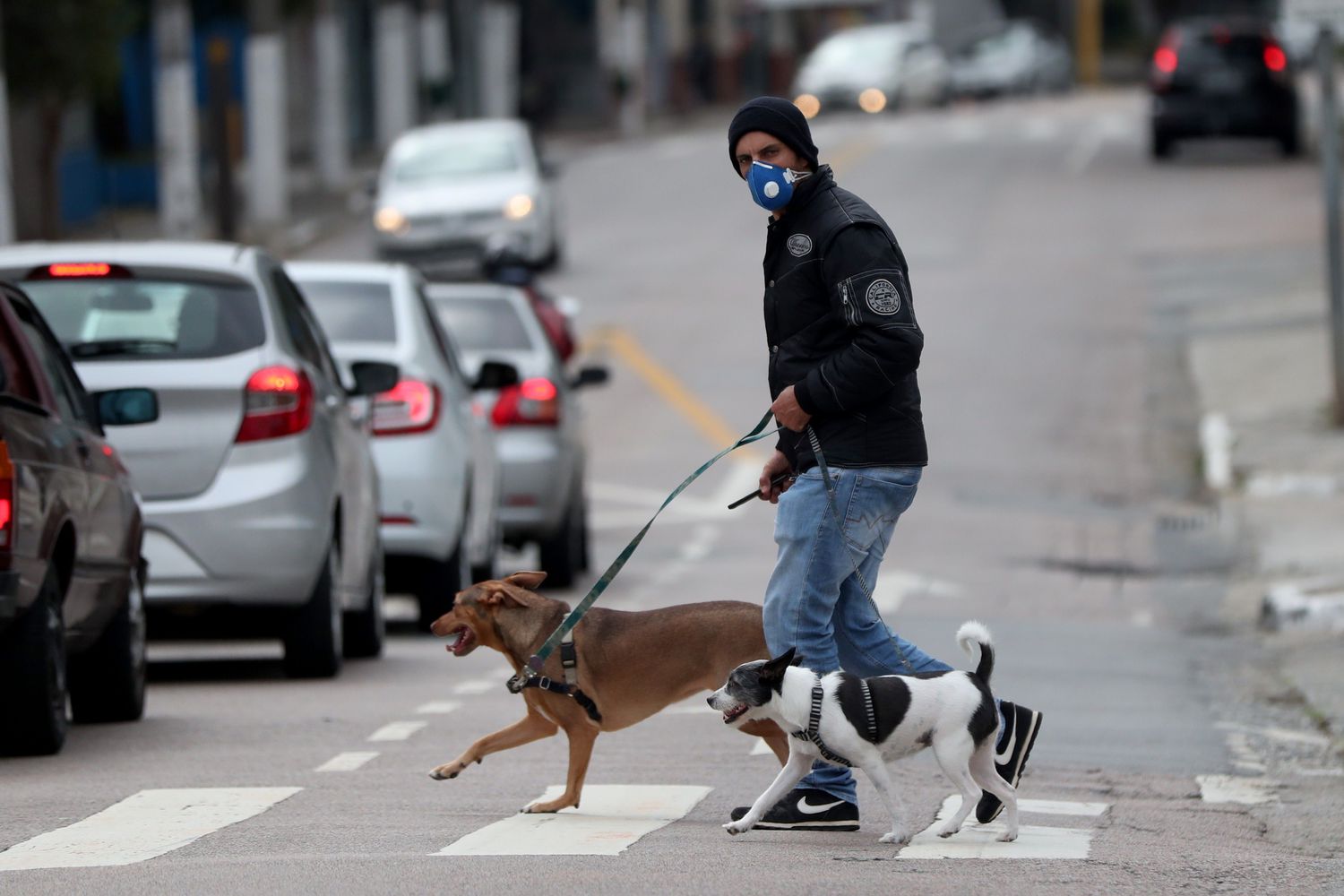 Homem passeia com cachorros em uma rua de São Paulo no último dia 17.