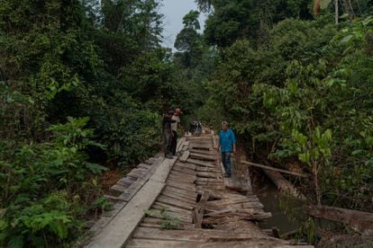 Índígenas Karipuna observam a ponte destruída com motosserra dentro da TI. "Foi represália dos madeireiros", dizem