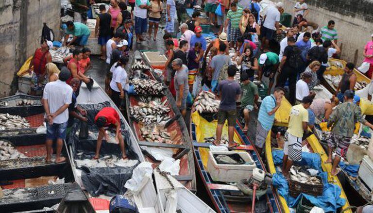 Os comerciantes vendem peixe no mercado de Manaus.