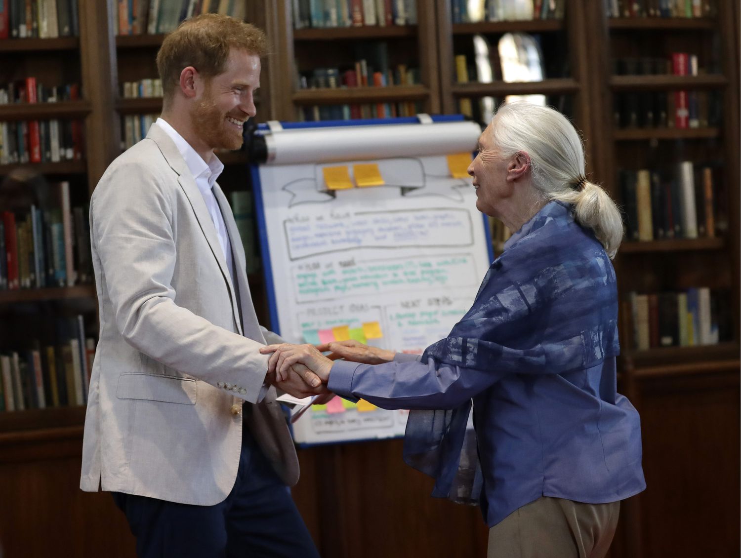 Jane Goodall e o príncipe Harry se cumprimentam em Windsor, en julho de 2019.