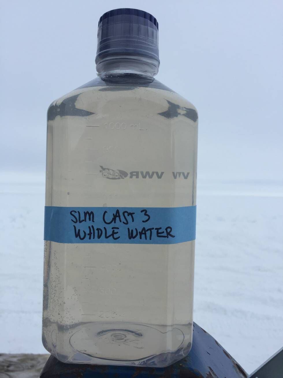 Uma amostra de água extraída do lago Mercer.