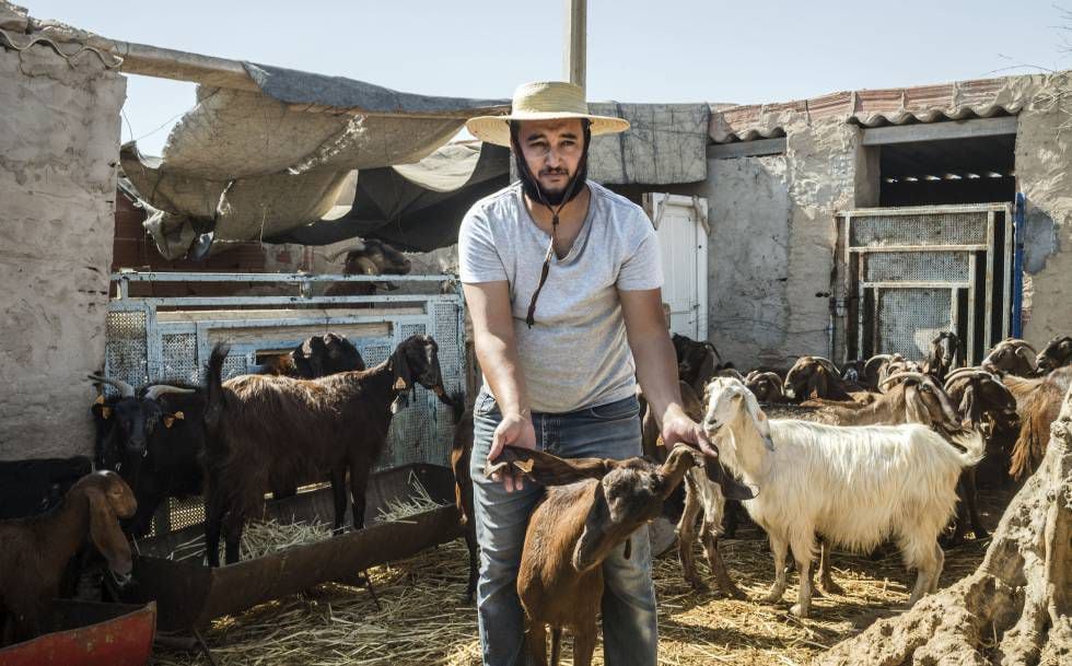 Mohamed Amine Attia produz queijo e requeijão de leite de cabra em Mellitta (Tunísia).