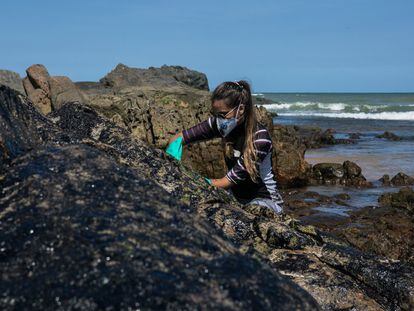 Uma voluntária ajuda a limpar as pedras na praia da Pedra do Sal, na Bahia.