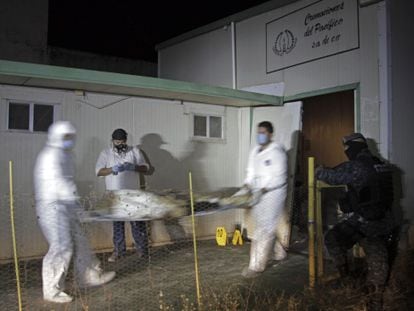 Médicos forenses levam os cadáveres encontrados em um crematório de Acapulco.