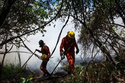 Equipe dos bombeiros e da brigada florestal trabalhou durante 22 horas até conseguir controlar o incêndio. Investigações apontam que o fogo foi criminoso, mas ainda buscam os responsáveis e se foi doloso ou não.