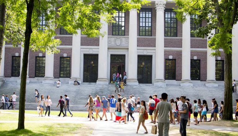 Imagem da biblioteca principal da Universidade de Harvard.