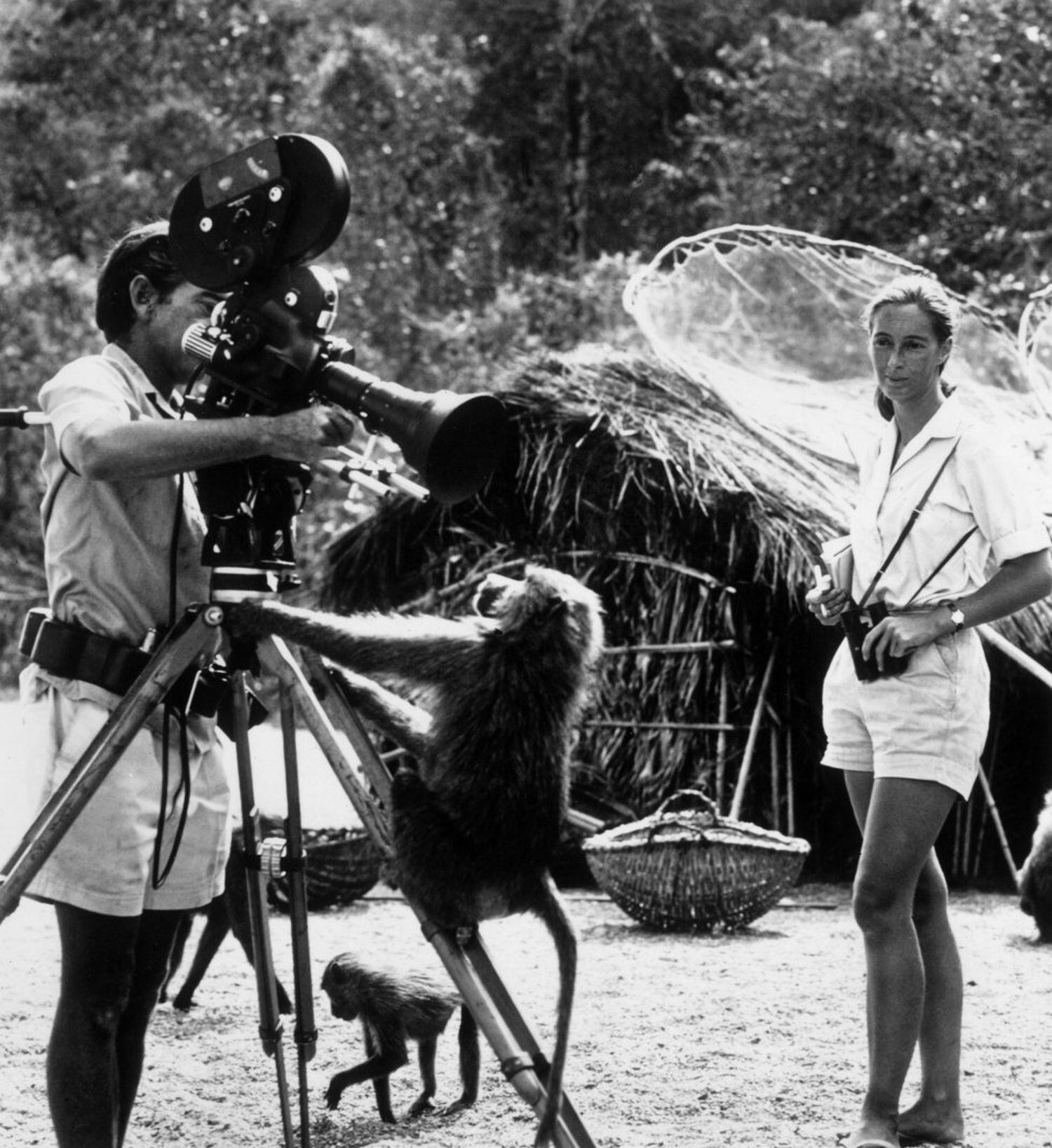 Jane Goodall em 1974, com seu marido, o fotógrafo Hugo van Lawick, que a gravou para a 'National Geographic'. 