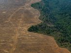 Deforestación de la Amazonia