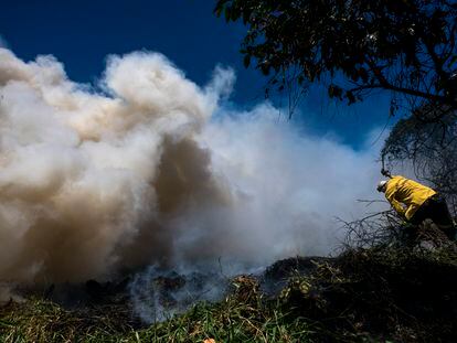 Incêndio no Parque do Cocó, em Fortaleza, atinge uma área equivalente a 46 campos de futebol.
