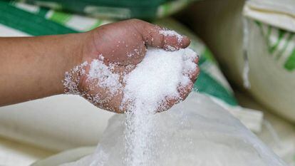 A indústria do açúcar ocultou durante cerca de 50 anos estudos efetuados com animais que sugeriam os efeitos negativos que a sacarose tem na saúde.