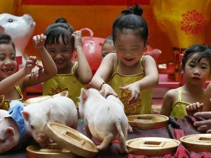 Crianças brincam com porquinhos em Manila, nas Filipinas.