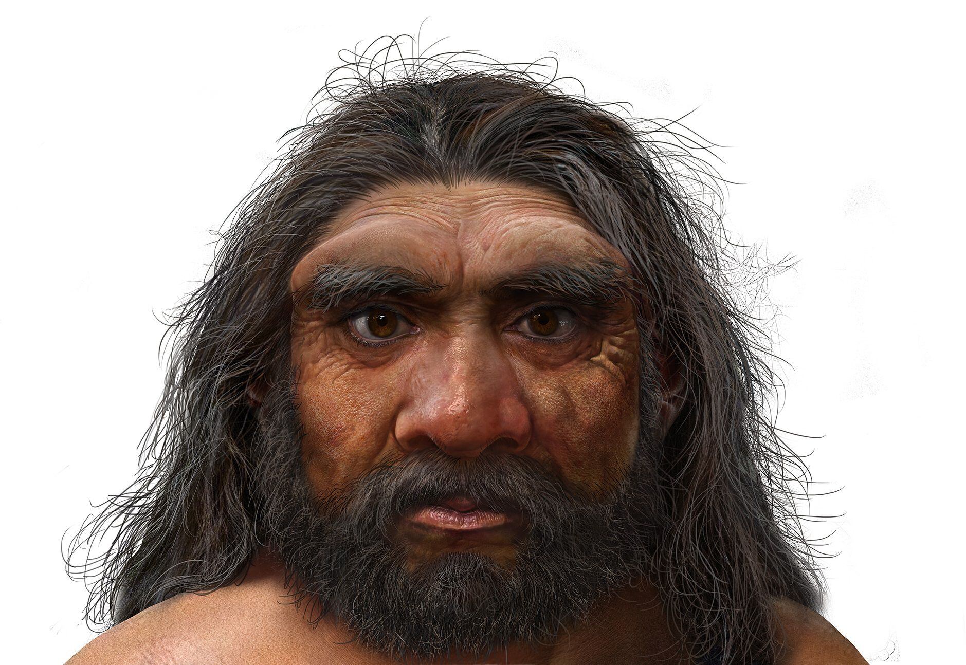 Reconstituição da aparência do ‘Homo longi’, ou “homem dragão”. 