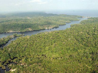 Foto aérea de uma parte da região amazônica.