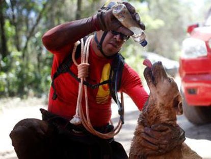 Fórum Mineiro do Comitê de Bacias Hidrográficas alerta sobre chegada da lama em outros municípios. Dados atualizados nesta quarta apontam 259 desaparecidos e 57 dos mortos identificados