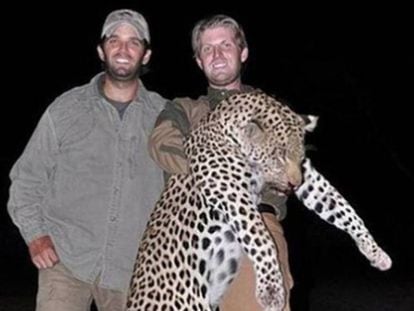 Foto dos filhos de Trump caçando persegue o pai nas redes sociais