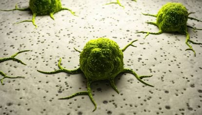 Ilustração computadorizada de células cancerígenas.