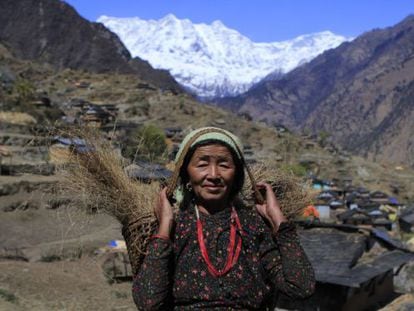 Os aldeões do Nepal carregam mais de 30 quilos em suas ‘doka’ (cestos de vime) pelos estreitos do Himalaia.