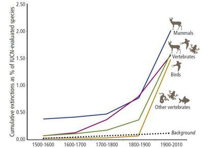 Gráfico mostra porcentagem acumulada de espécies de vertebrados (mamíferos, aves, anfíbios, peixes e répteis) extintas desde 1500. A linha pontilhada é a taxa natural de extinção.