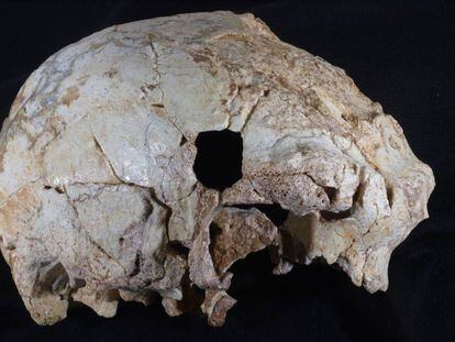 Pedaço de um crânio encontrado na gruta de Aroeira (Portugal)