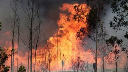 Incêndio em Portugal mata ao menos 63 pessoas e fere outras 54