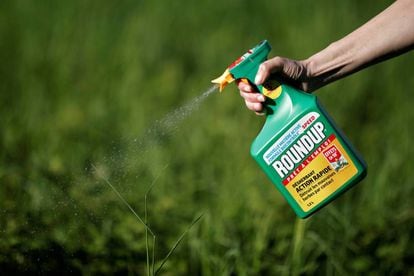 Mulher utiliza o pesticida Round Up, da Monsanto.