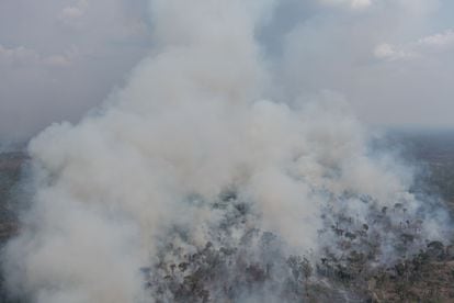 Um foco de incêndio na floresta dentro da Resex Jaci Paraná, em Porto Velho