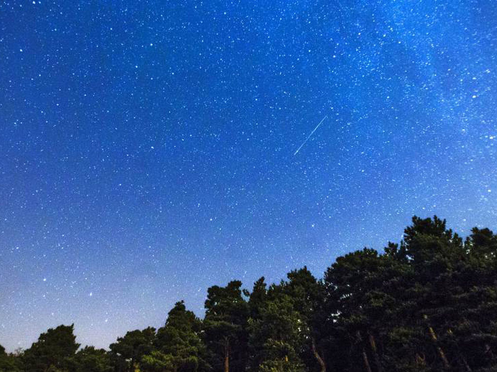 Chuva de estrelas vai 'cair' em Viena com cinco top 10 confirmados