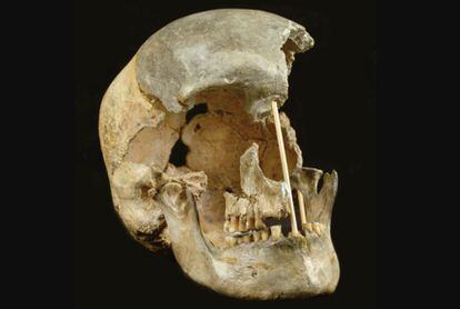 Crânio de uma mulher que viveu há 45.000 anos na atual República Tcheca, um dos restos analisados.