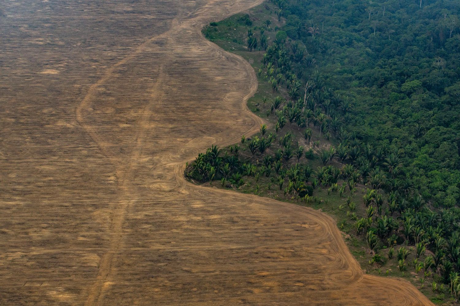 Área da Floresta Amazônica desmatada para plantar soja perto de Porto Velho (Rondônia) em 2019. 