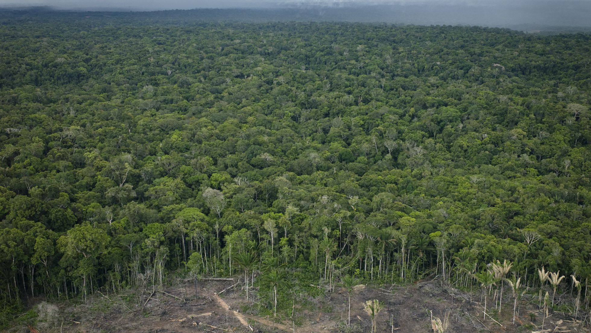 Quando a gente Magüta desaparecer, o mundo inteiro irá se acabar -  Amazônia Latitude