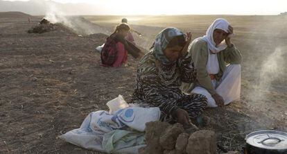 Deslocados da minoria yazidi na cidade de Sinyar, no norte do Iraque.