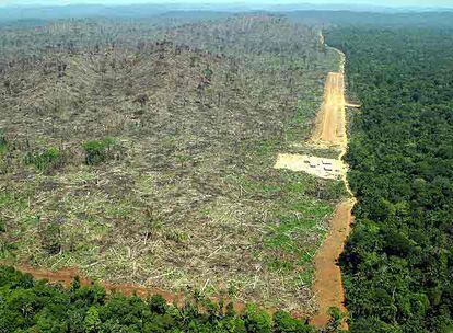 Desmatamento na Amazônia para o plantio de soja, em dezembro de 2019.