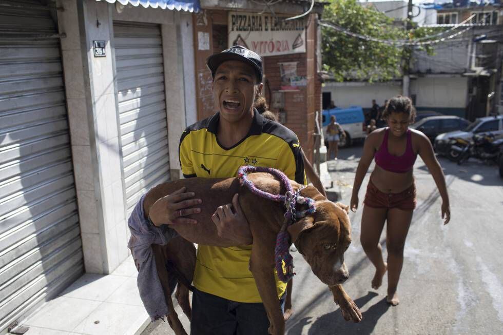Um jovem carrega seu cachorro baleado durante o tiroteio na Rocinha.