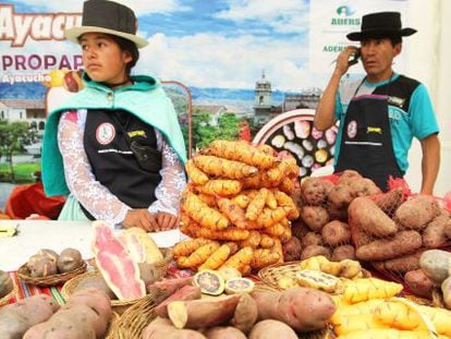 Agricultores andinos no Festival da batata nativa, em Lima.