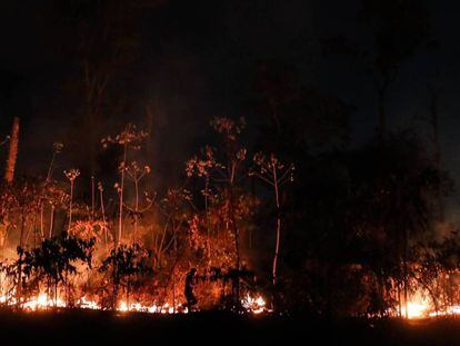 A Amazônia brasileira perdeu em agosto 1.698 quilômetros quadrados de sua cobertura vegetal por conta das queimadas.