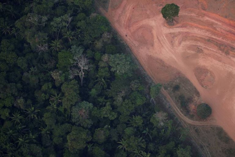 Vista aérea de uma zona deforestada cerca de Porto Velho (Estado de Rondonia).