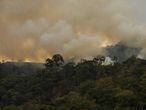 Incendio en el bosque de Pozuzo, en Perú.