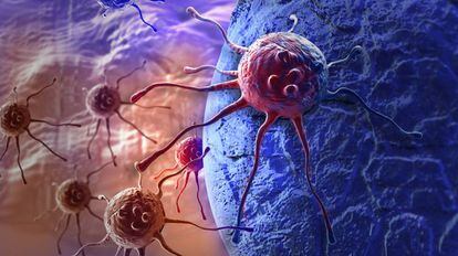 Uma célula cancerosa.