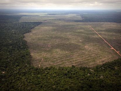 O ritmo de desmatamento da Amazônia brasileira voltou a subir em 2013.