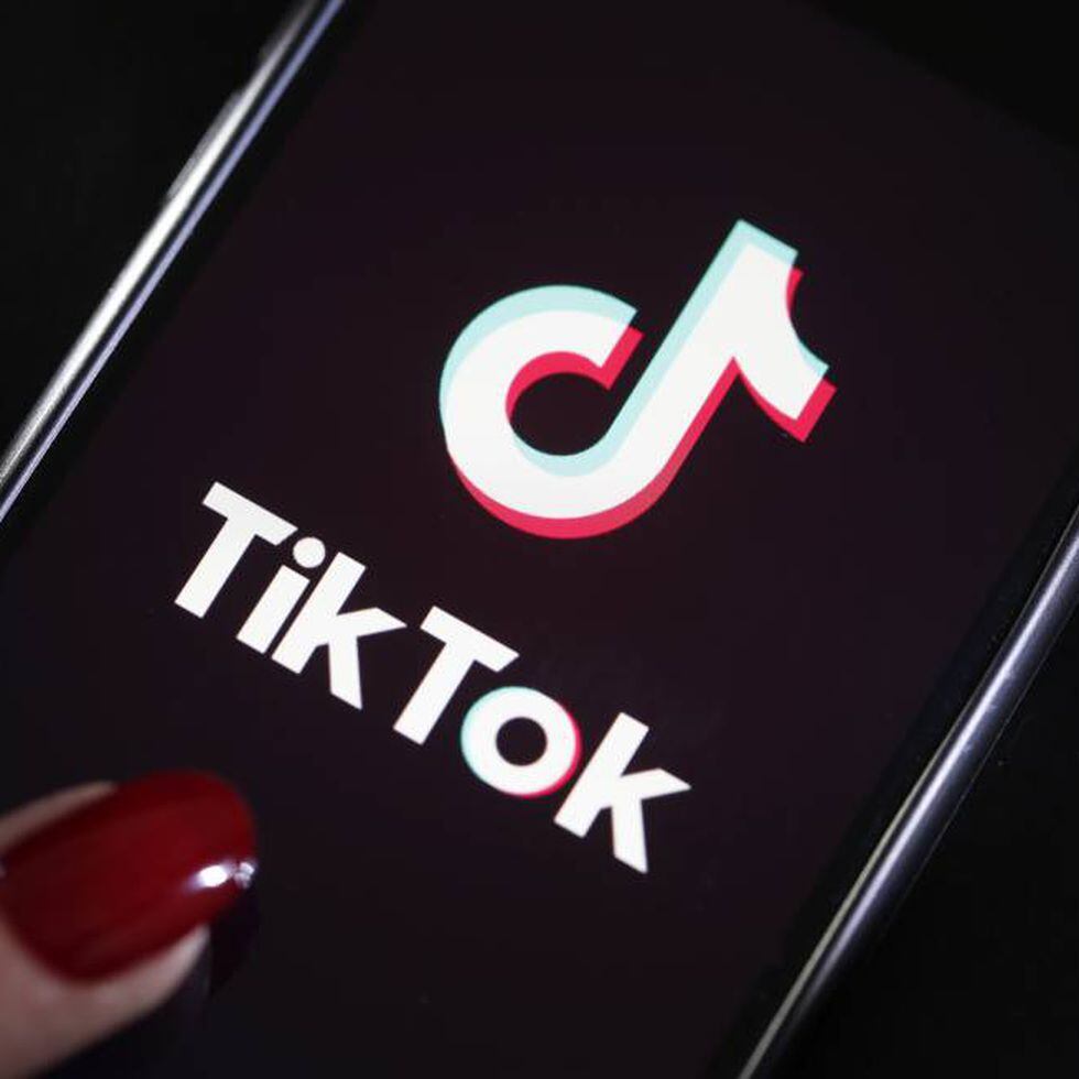 videos engraçados whatsapp｜Pesquisa do TikTok