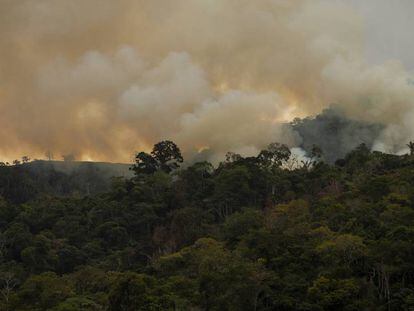 Um incêndio no bosque de Pozuzo, em Peru.