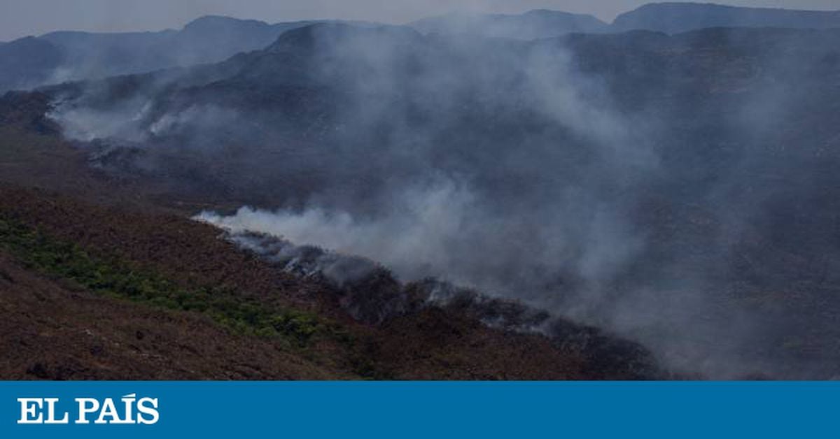 Chapada dos Veadeiros tem 10º dia de incêndios