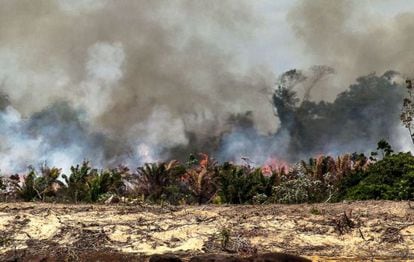 Ilha do Xingu queimando para dar lugar à Belo Monte.