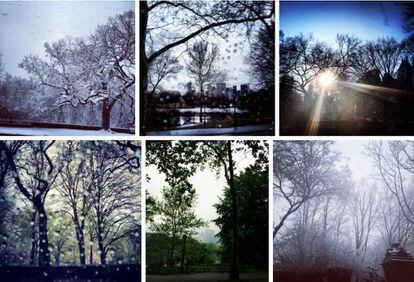 Seis das 15 fotos que Melania publicou do Central Park do interior de um carro, 2013&ndash;2015