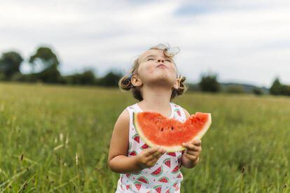 ONU aponta alimentação vegana ou vegetariana como solução para salvar o  planeta - Casa e Jardim