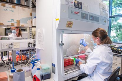 Cientista processa o soro da vacina nos laboratórios da Universidade de Oxford, no Reino Unido, em junho de 2020.