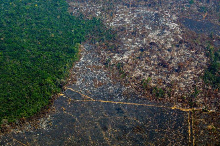 Uma zona da Amazonia deforestada em uma vista aérea tomada em agosto passado na reserva biológica de Altamira.
