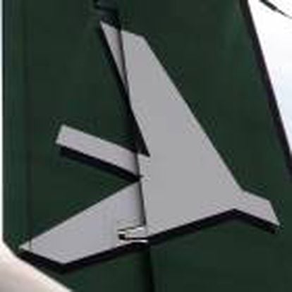 Brazilian national flag is seen behind Embraer Bandeirante's airplane tail at the company's plant in Sao Jose dos Campos
