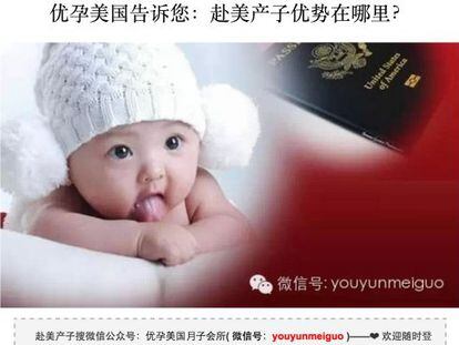 Reprodução de um site chinês de 'turismo de maternidade'.