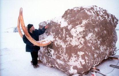 Um explorador examina um bloco de gelo com um mamute no documentário 'Acordando ao mamute'.